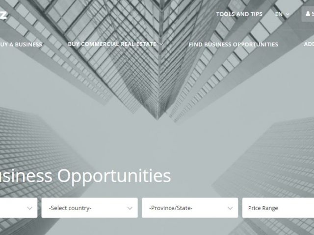 The GoBuyBiz.com website home page, find businesses for sale